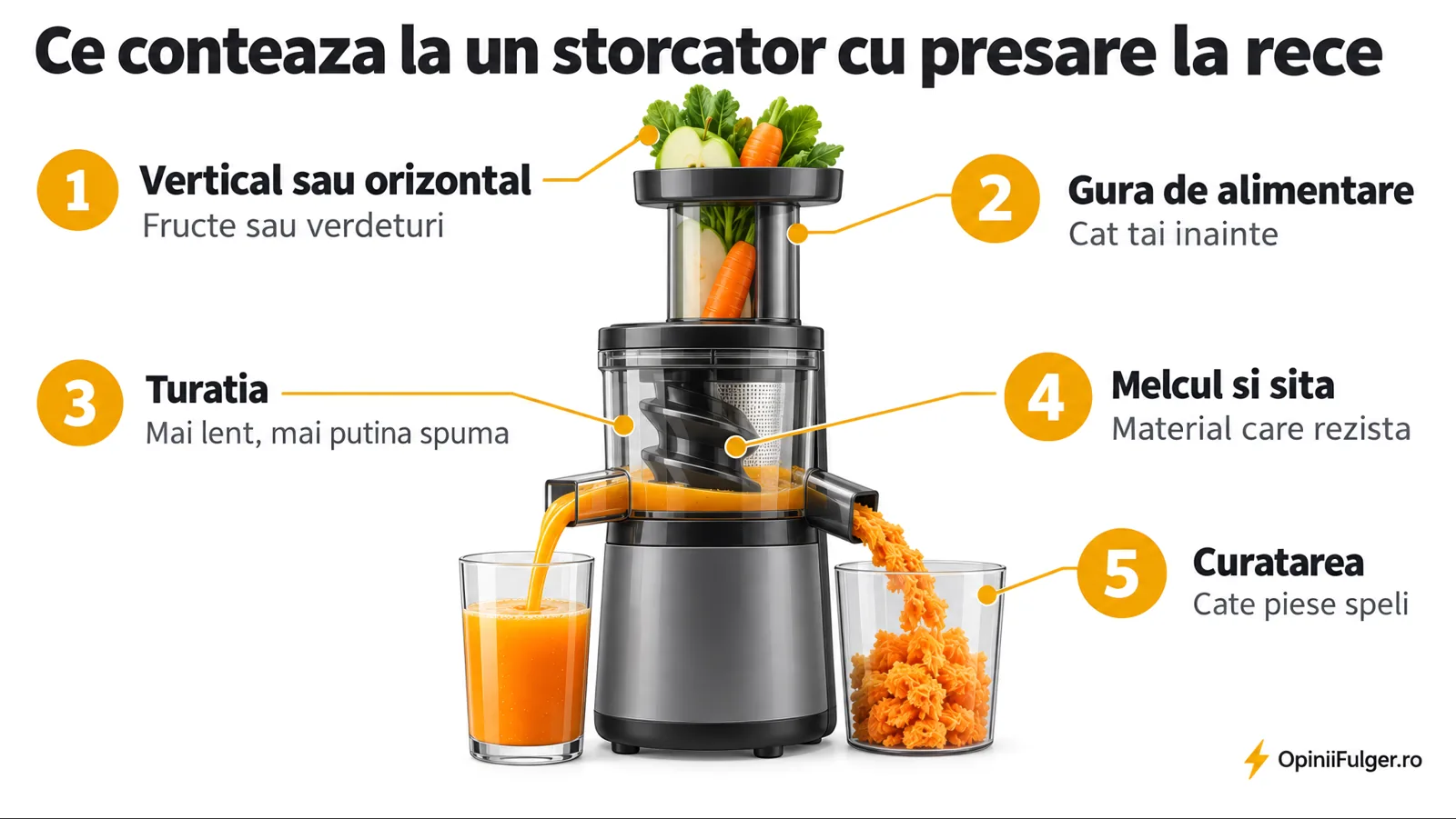 Ce conteaza la un storcator cu presare la rece: vertical sau orizontal, gura de alimentare, turatia, melcul si sita, curatarea