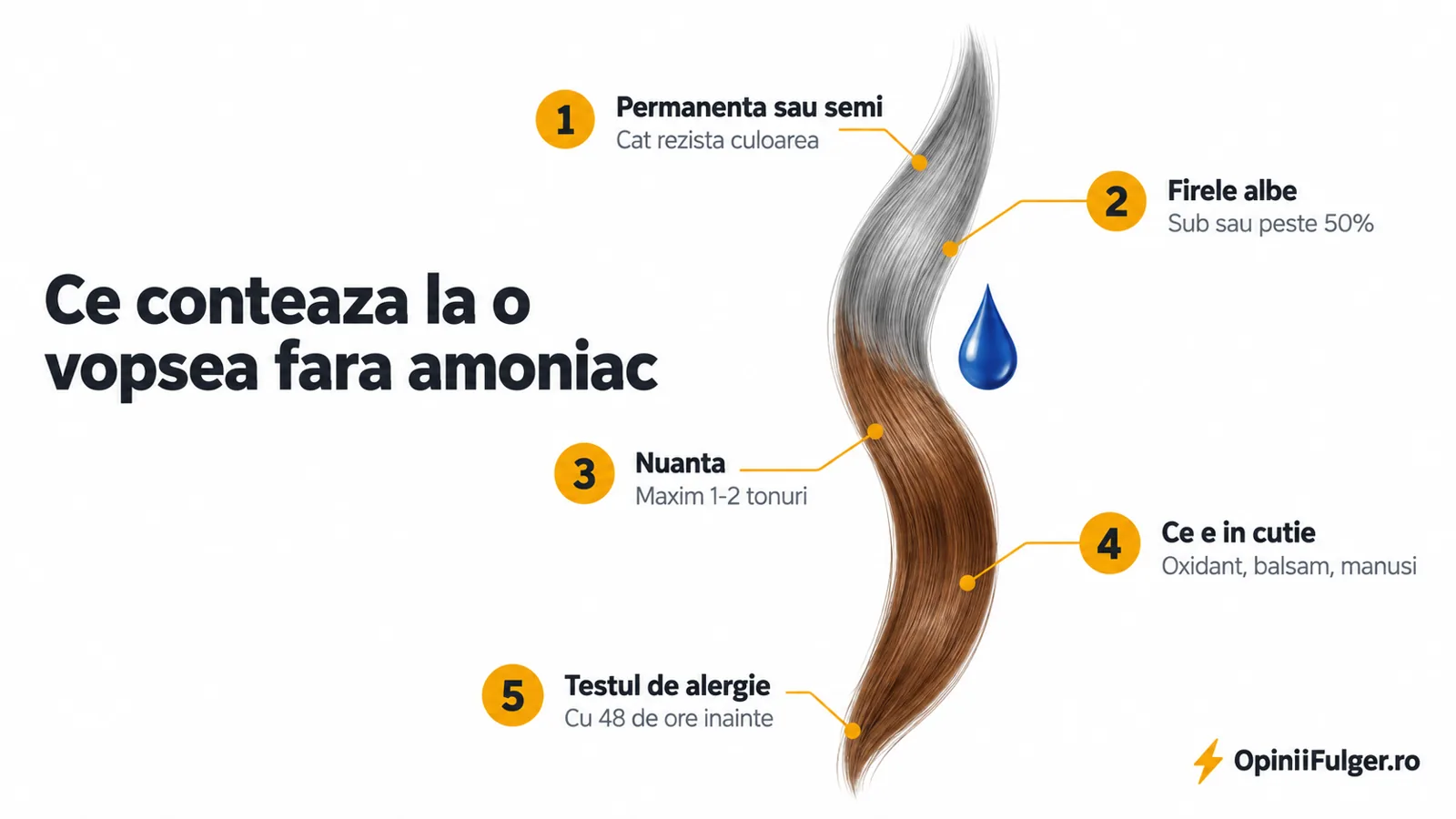 Ce conteaza la o vopsea de par fara amoniac: permanenta sau semi, firele albe, nuanta, ce e in cutie, testul de alergie